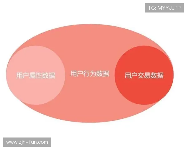 基于用户行为分析的老虎机app优化策略实现持续盈利增长